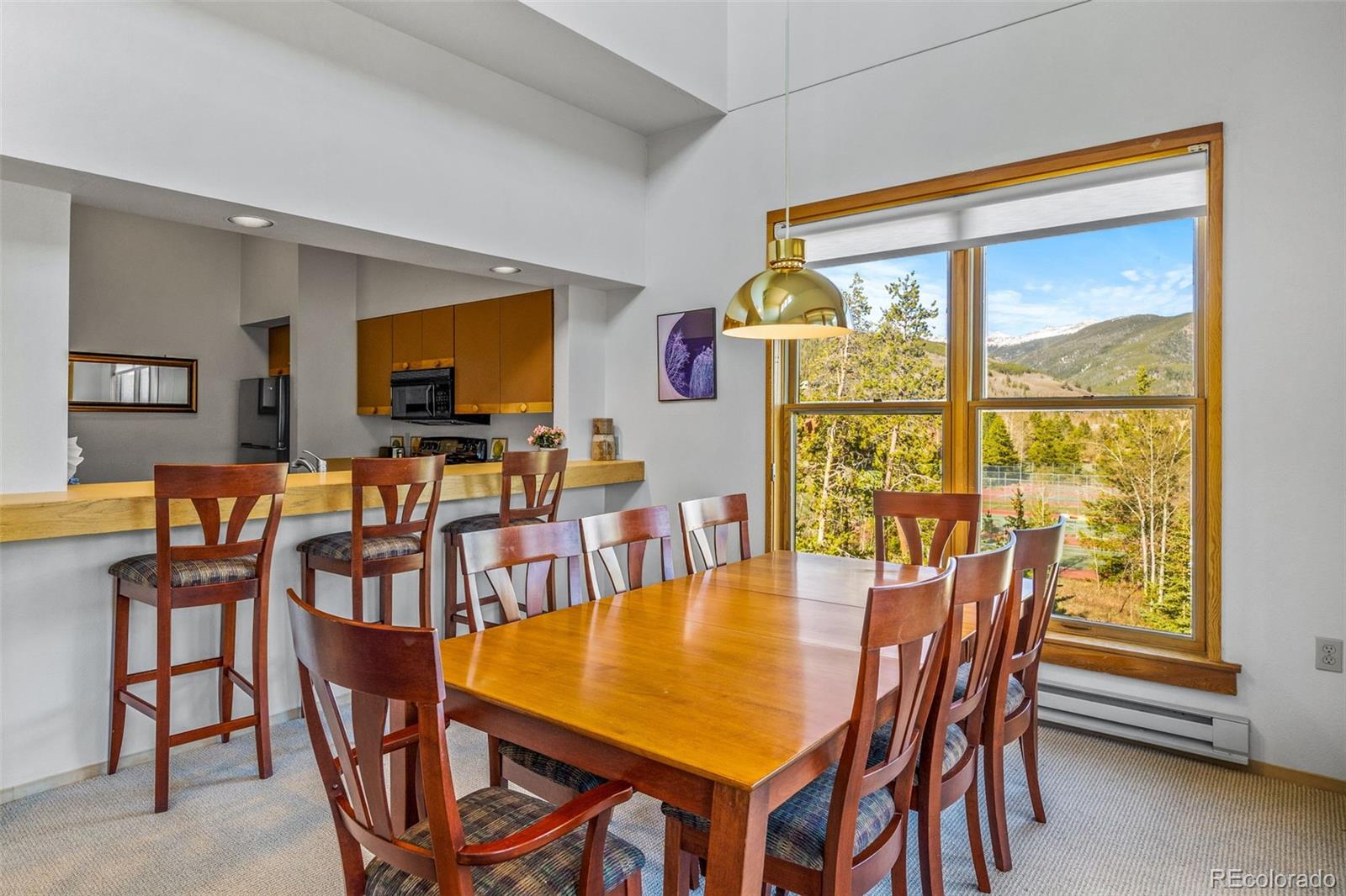 MLS Image #21 for 240  tennis club road,dillon, Colorado