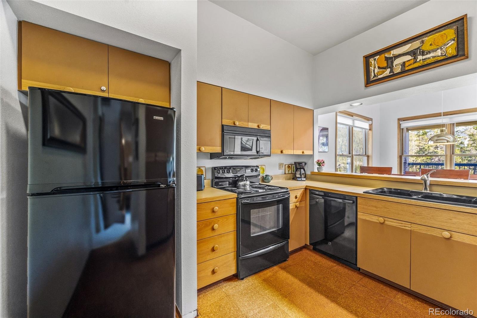 MLS Image #22 for 240  tennis club road,dillon, Colorado