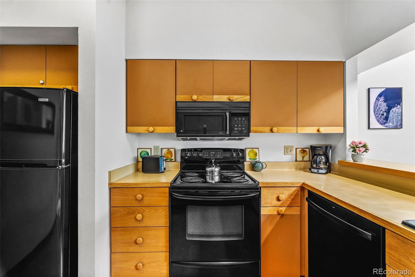 MLS Image #24 for 240  tennis club road,dillon, Colorado