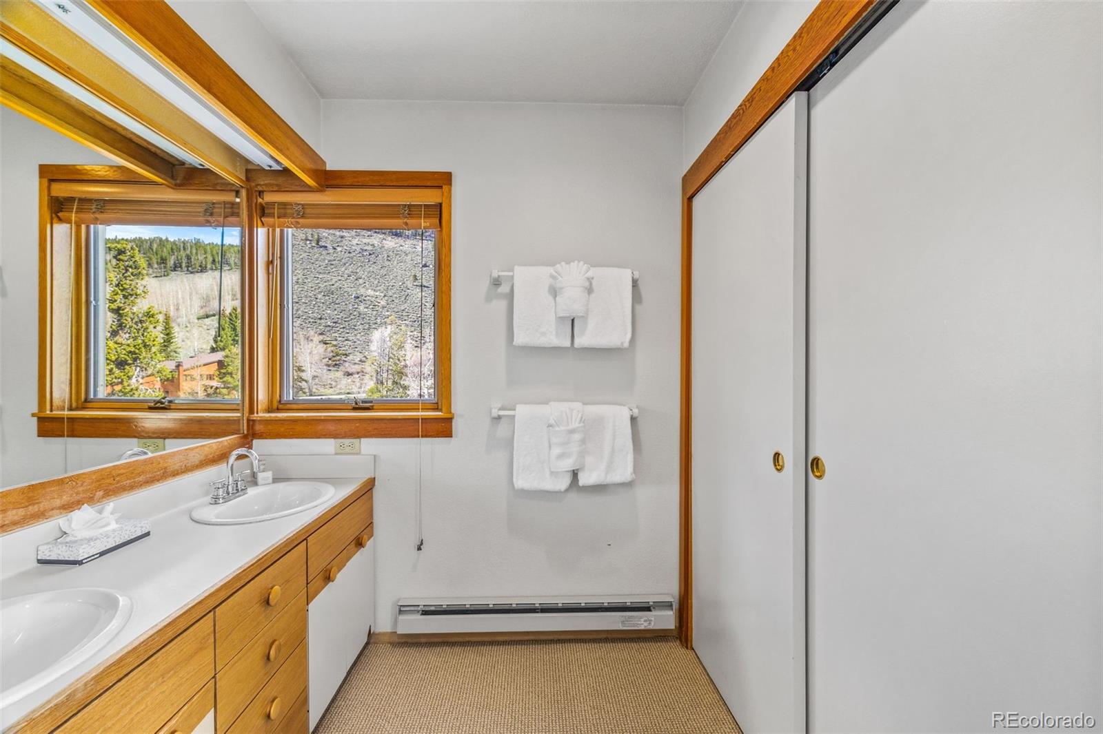 MLS Image #29 for 240  tennis club road,dillon, Colorado