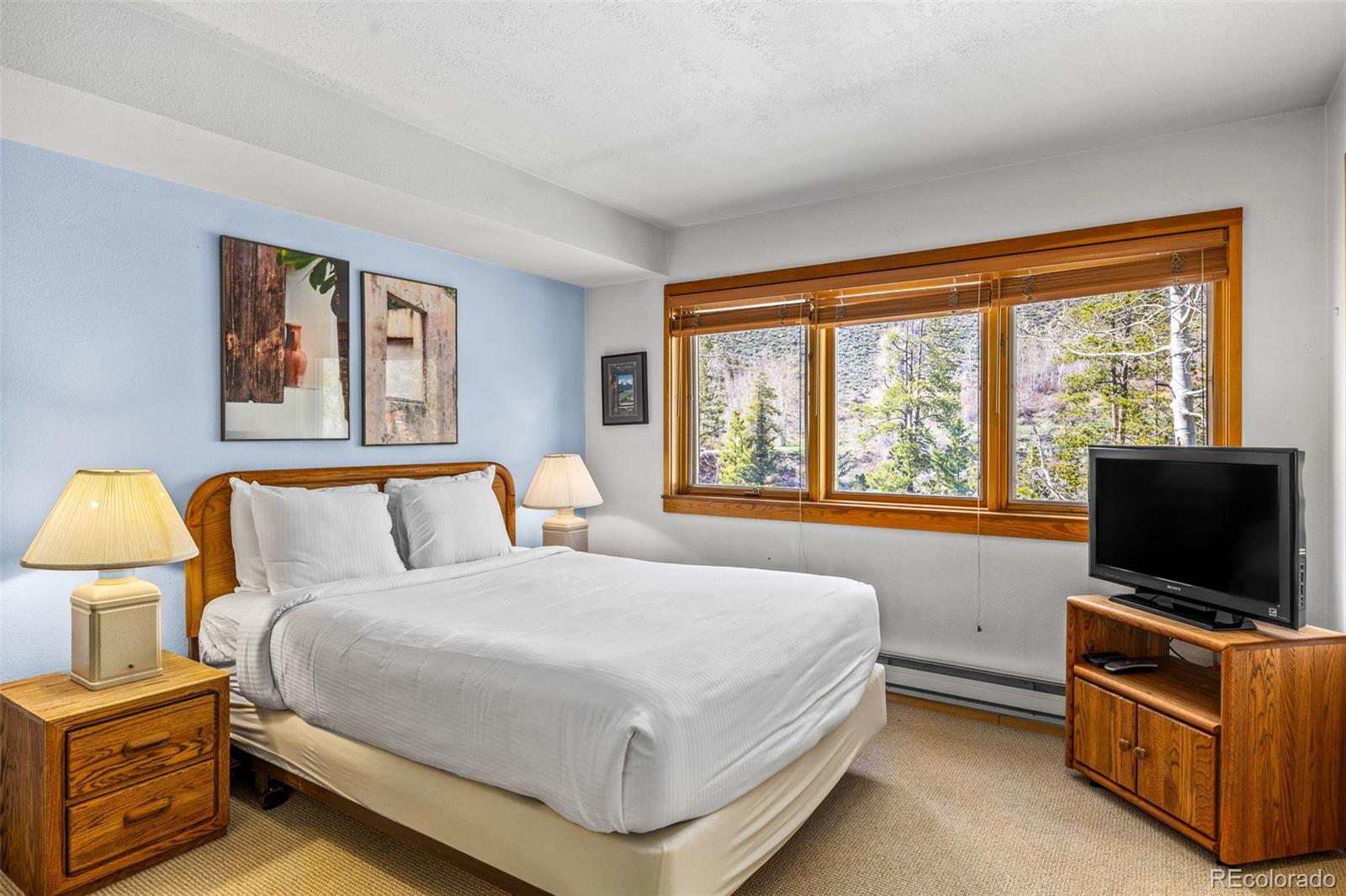 MLS Image #31 for 240  tennis club road,dillon, Colorado