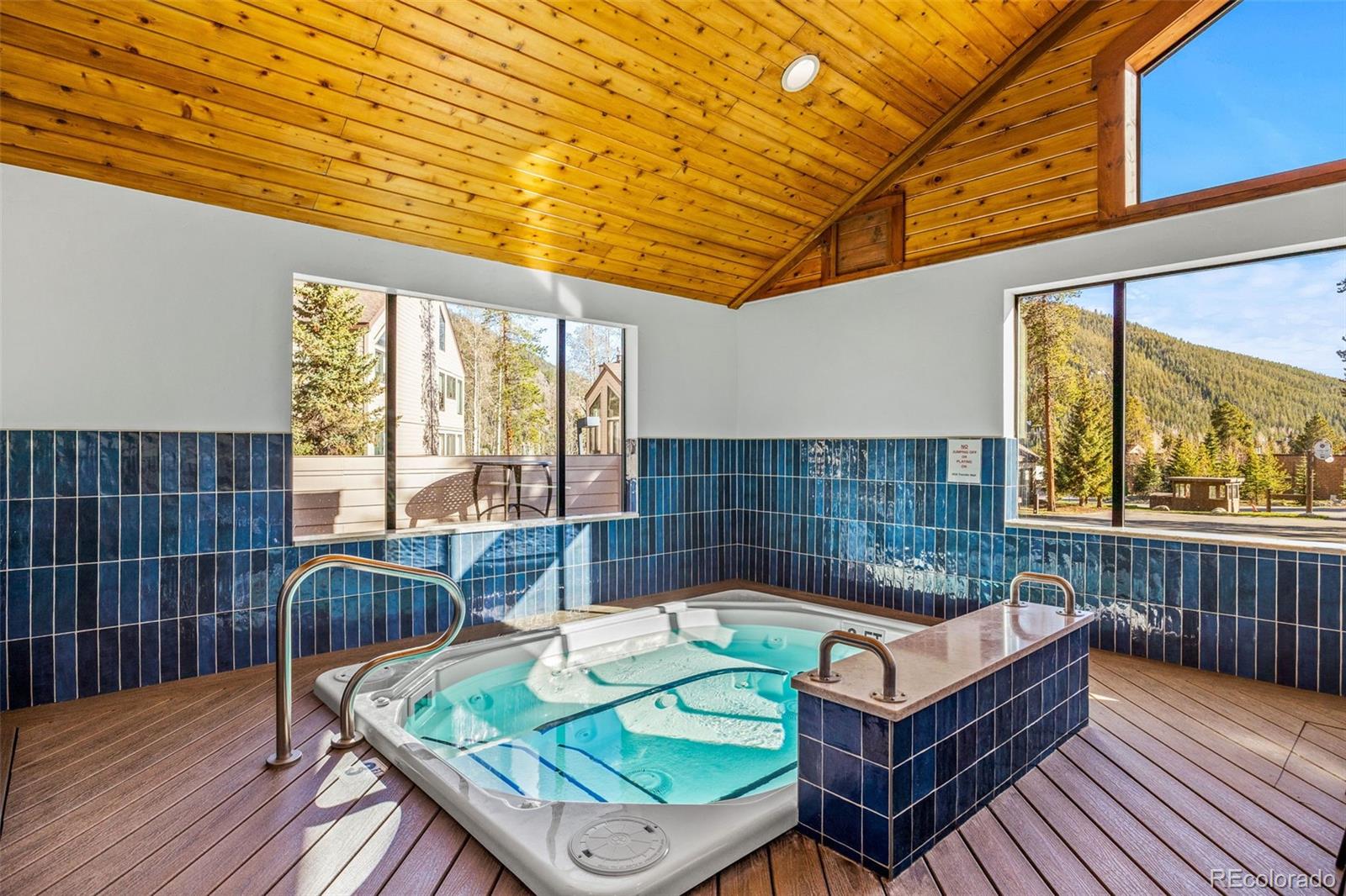 MLS Image #42 for 240  tennis club road,dillon, Colorado