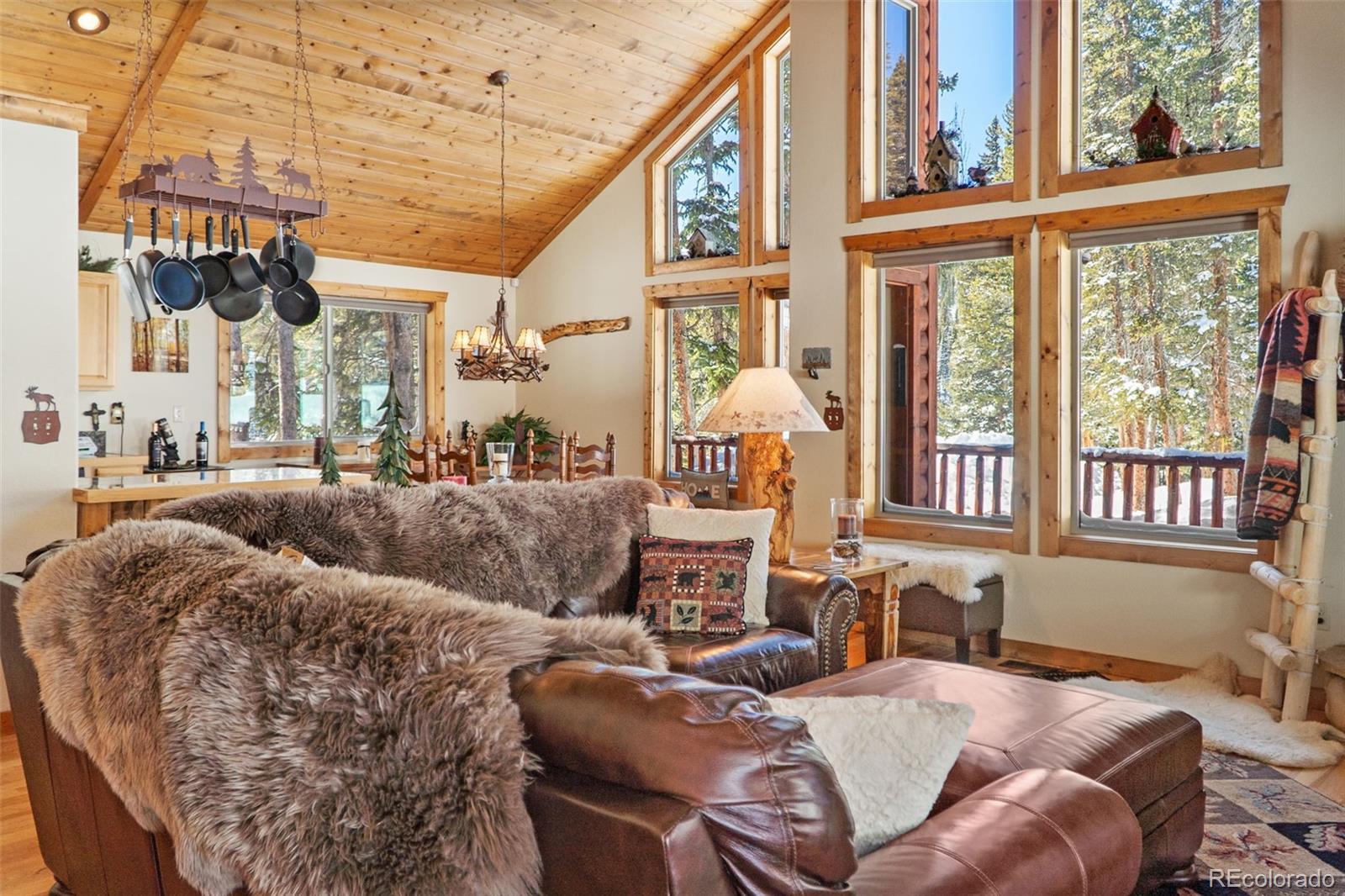 MLS Image #0 for 199  sacramento drive,fairplay, Colorado