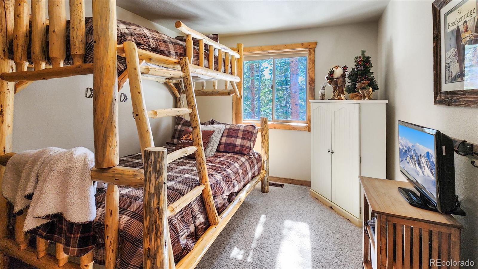MLS Image #10 for 199  sacramento drive,fairplay, Colorado