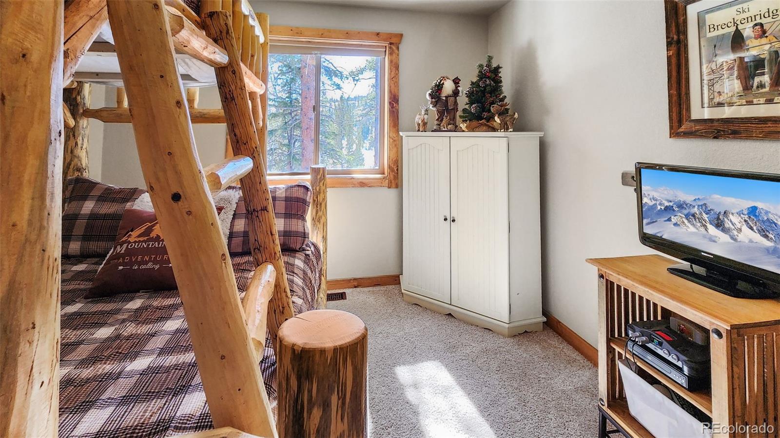 MLS Image #12 for 199  sacramento drive,fairplay, Colorado