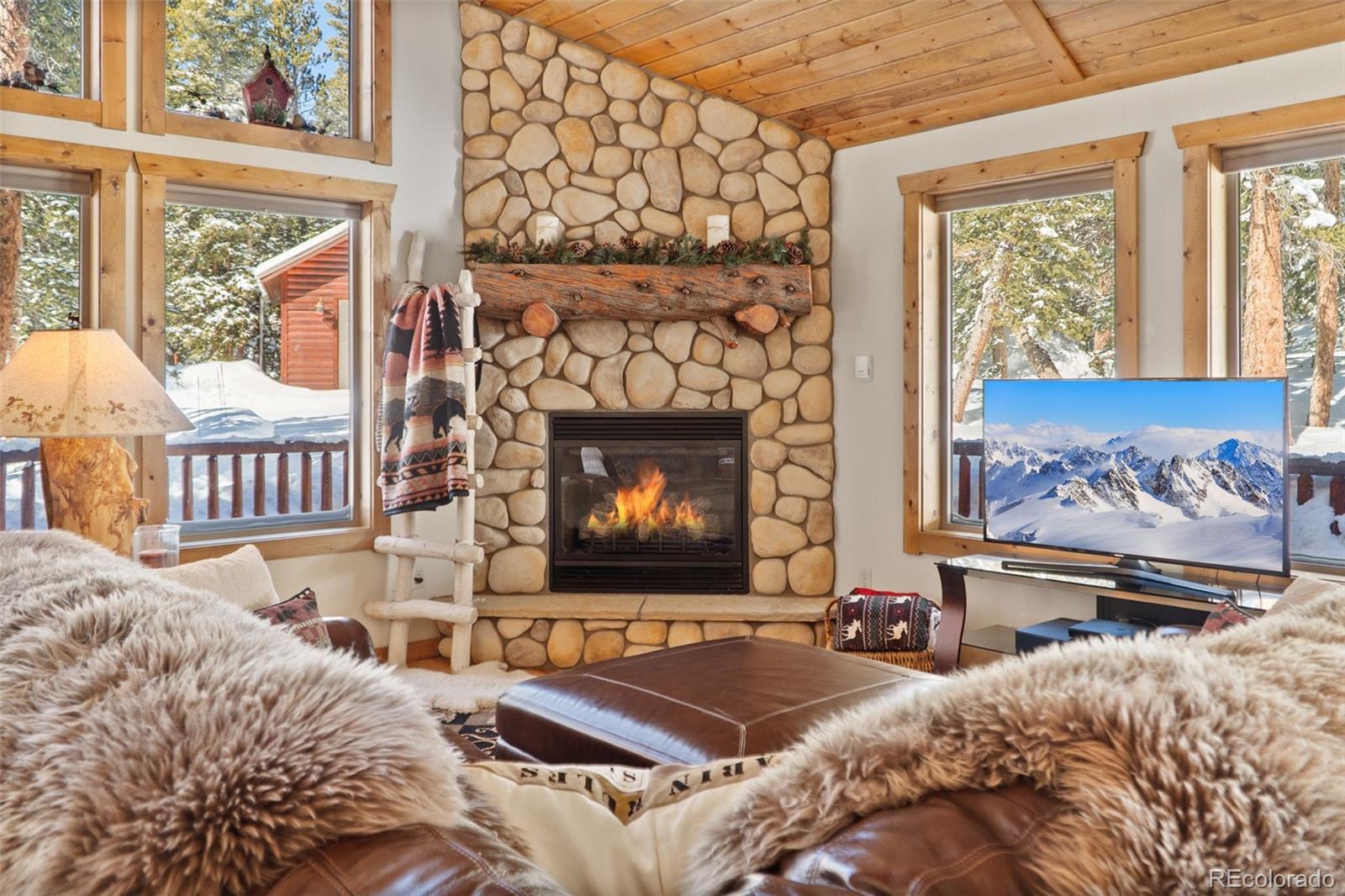 MLS Image #2 for 199  sacramento drive,fairplay, Colorado