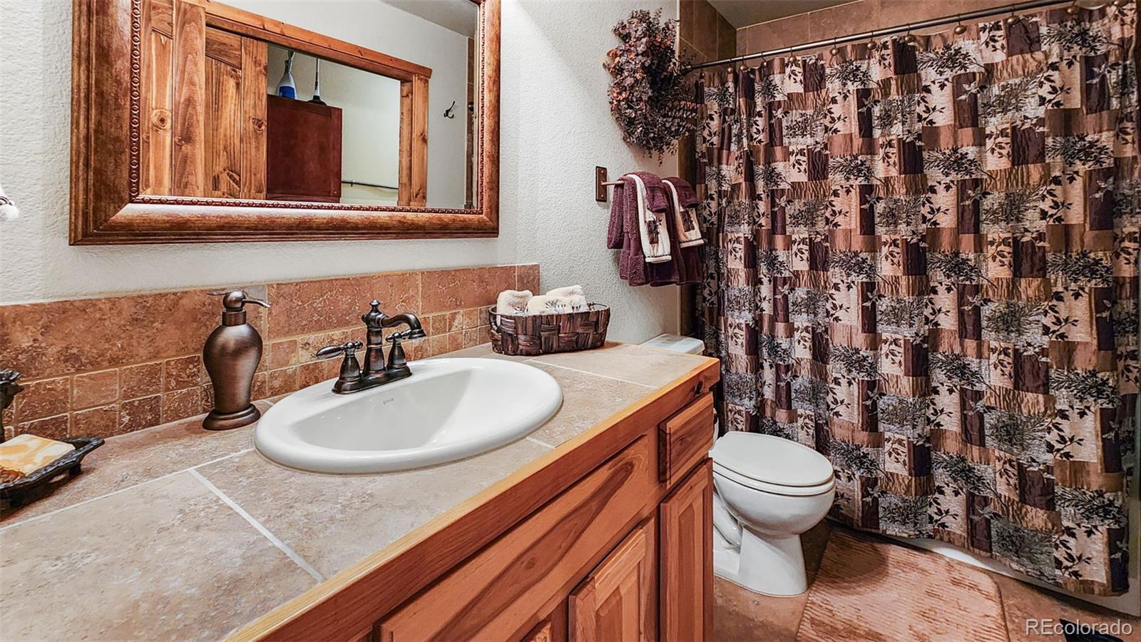 MLS Image #8 for 199  sacramento drive,fairplay, Colorado