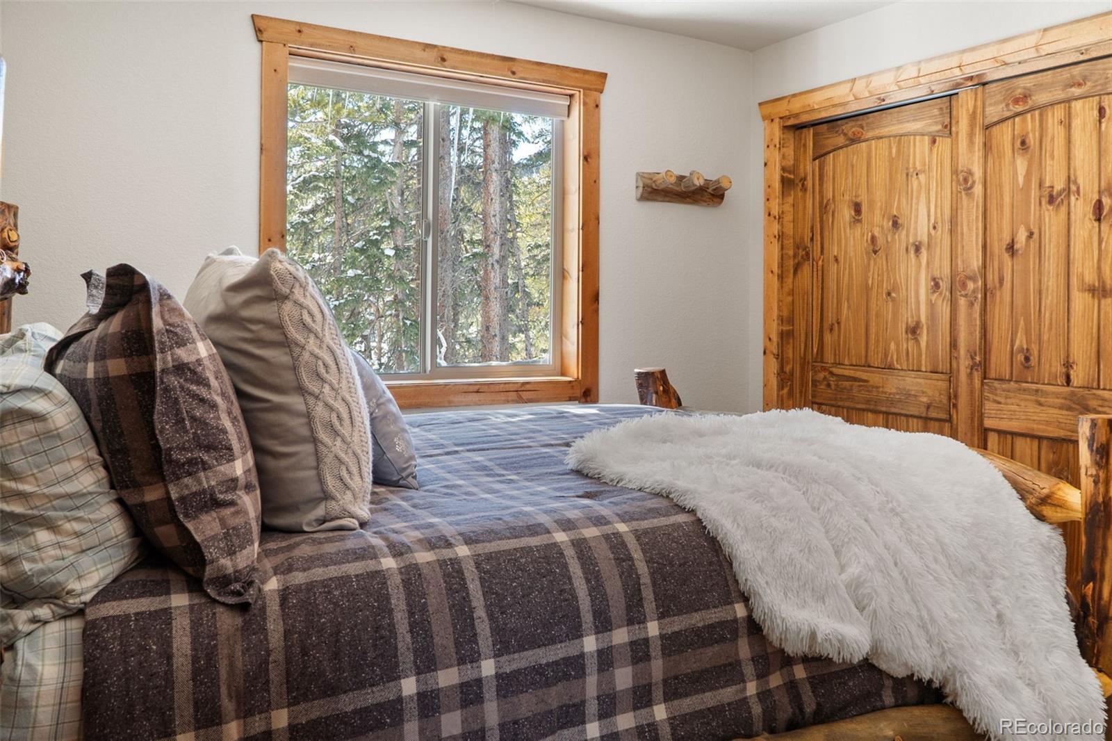 MLS Image #9 for 199  sacramento drive,fairplay, Colorado