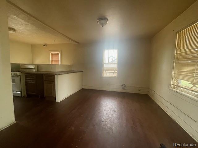 MLS Image #8 for 2771 w 1st avenue,denver, Colorado