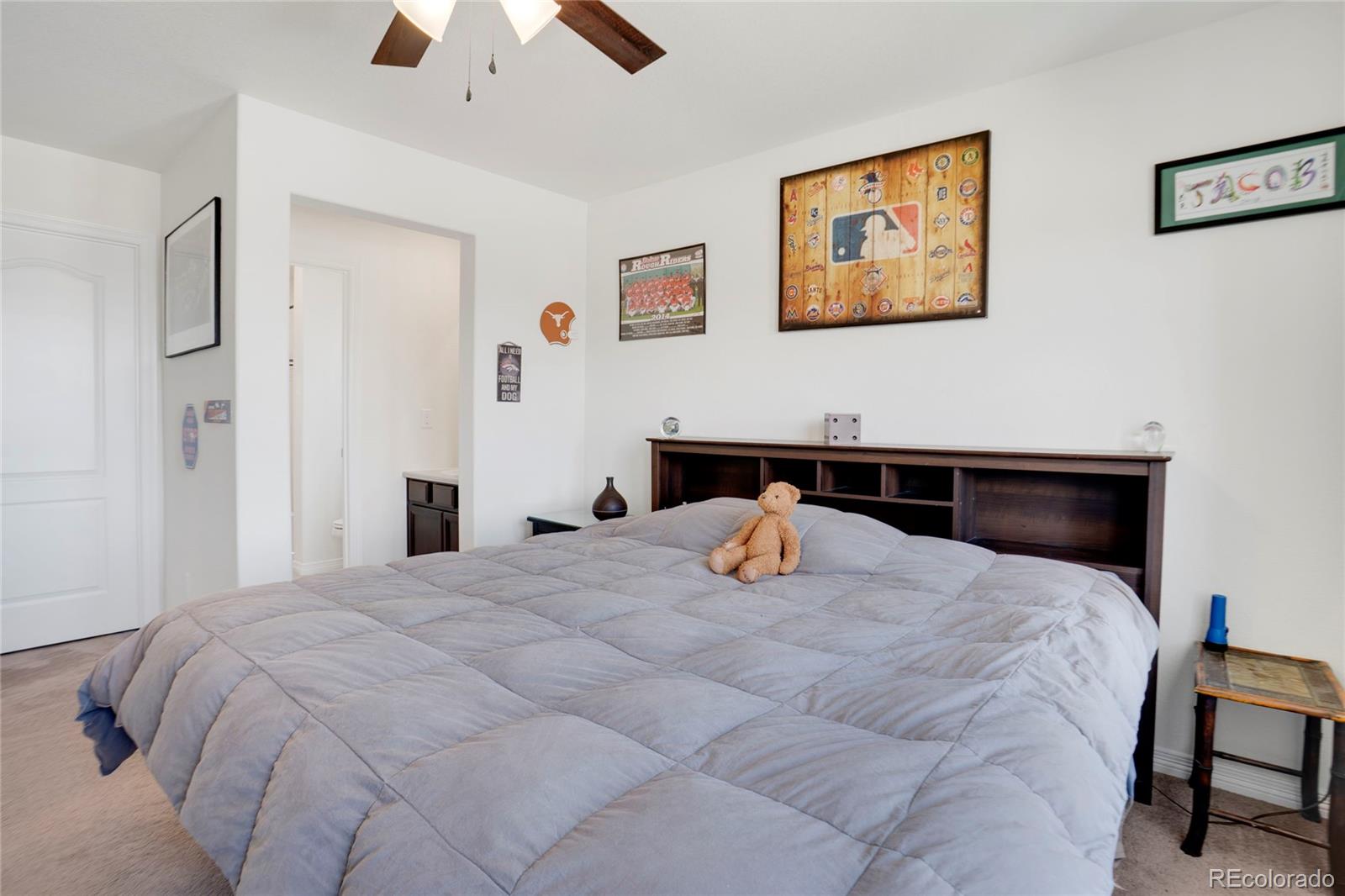 MLS Image #23 for 87  green fee circle,castle pines, Colorado