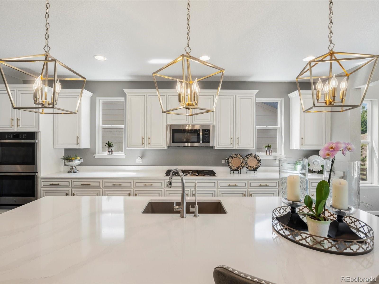 MLS Image #11 for 13041  reata ridge drive,parker, Colorado
