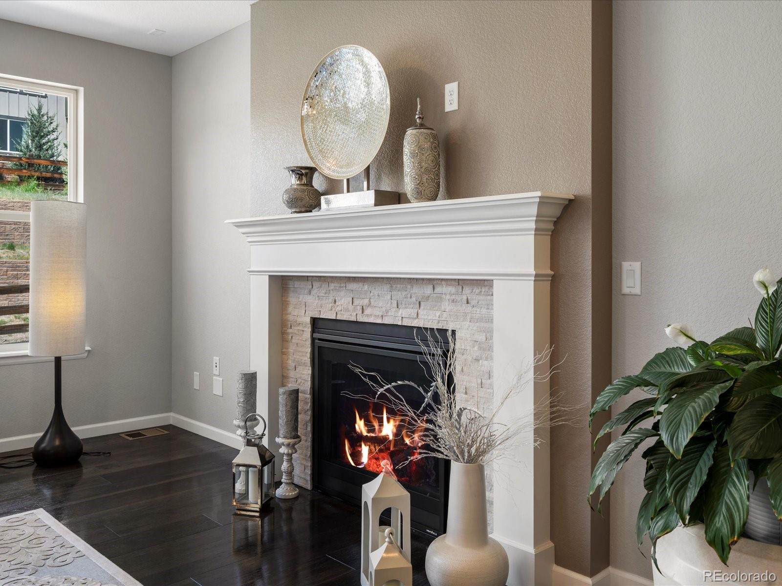 MLS Image #20 for 13041  reata ridge drive,parker, Colorado