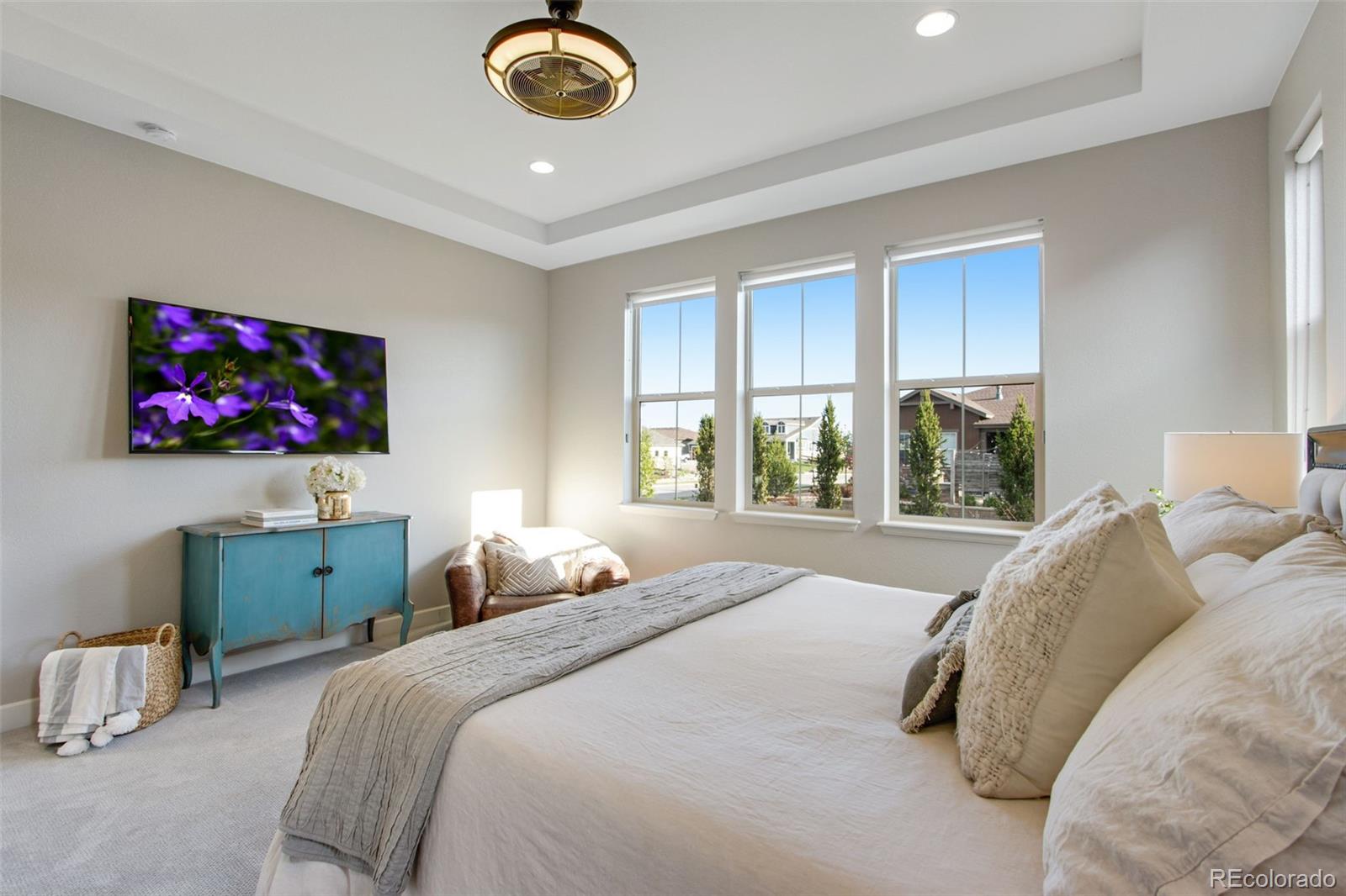 MLS Image #26 for 7055  lightning court,timnath, Colorado