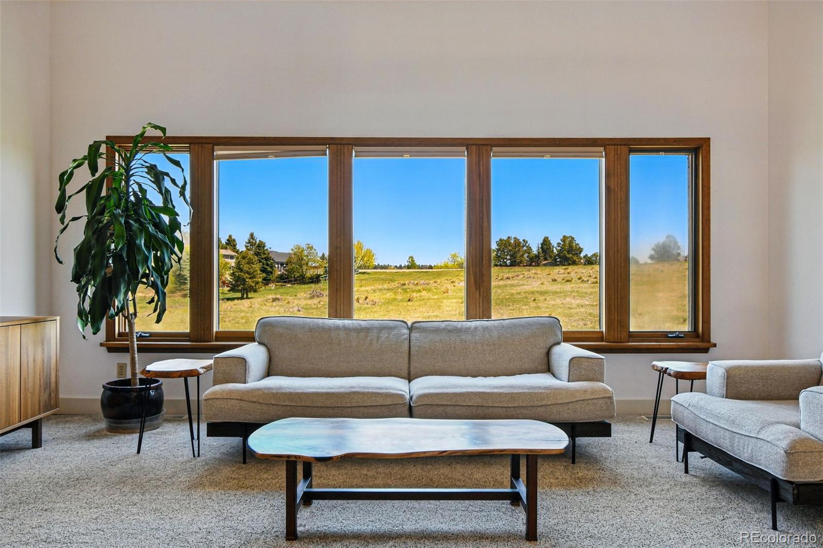 MLS Image #16 for 6388  donner circle,parker, Colorado