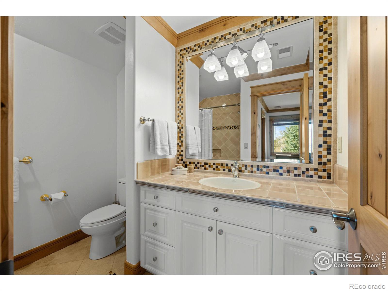 MLS Image #20 for 8912  little raven trail,niwot, Colorado