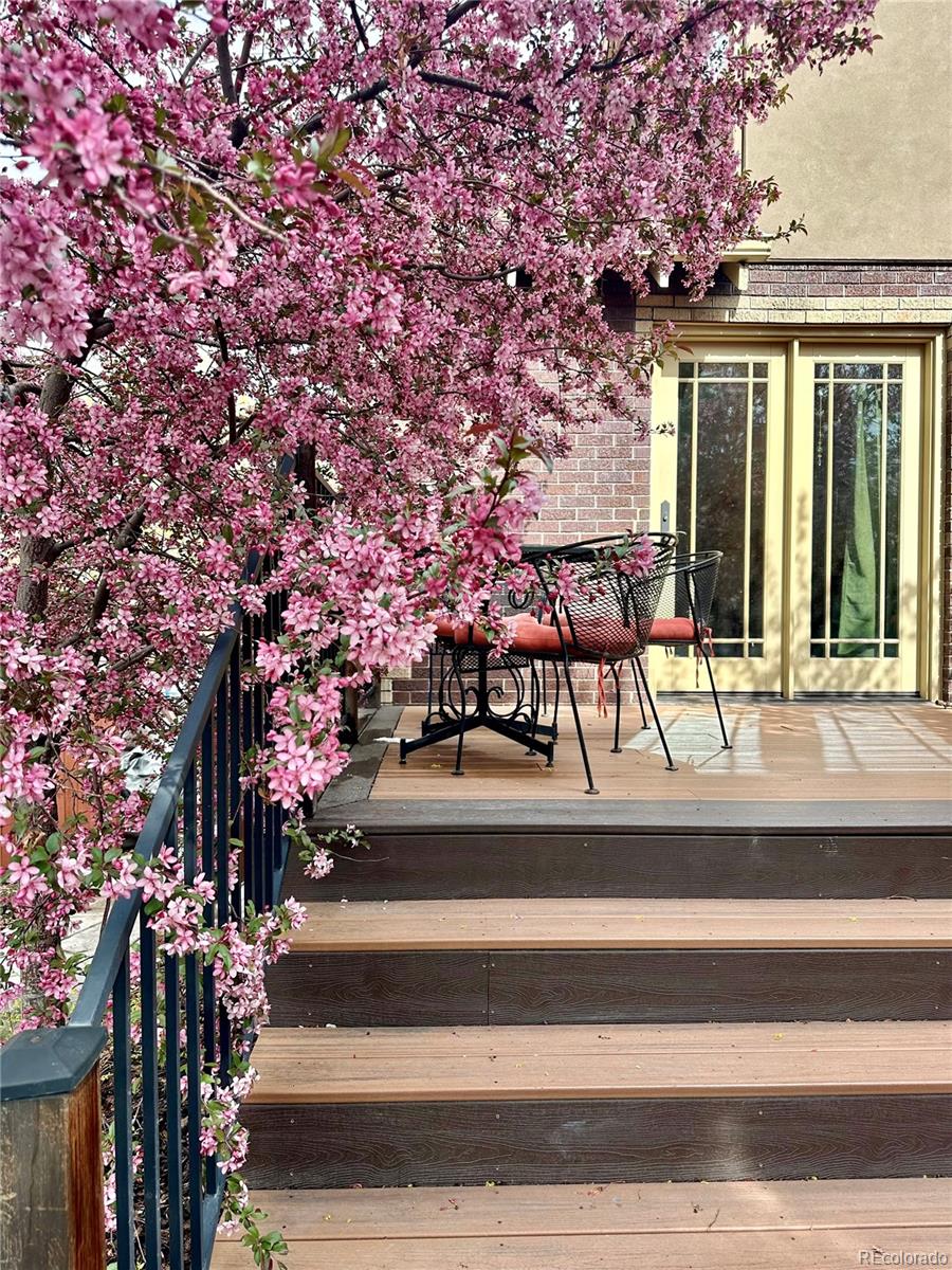 MLS Image #20 for 2591  albion street,denver, Colorado