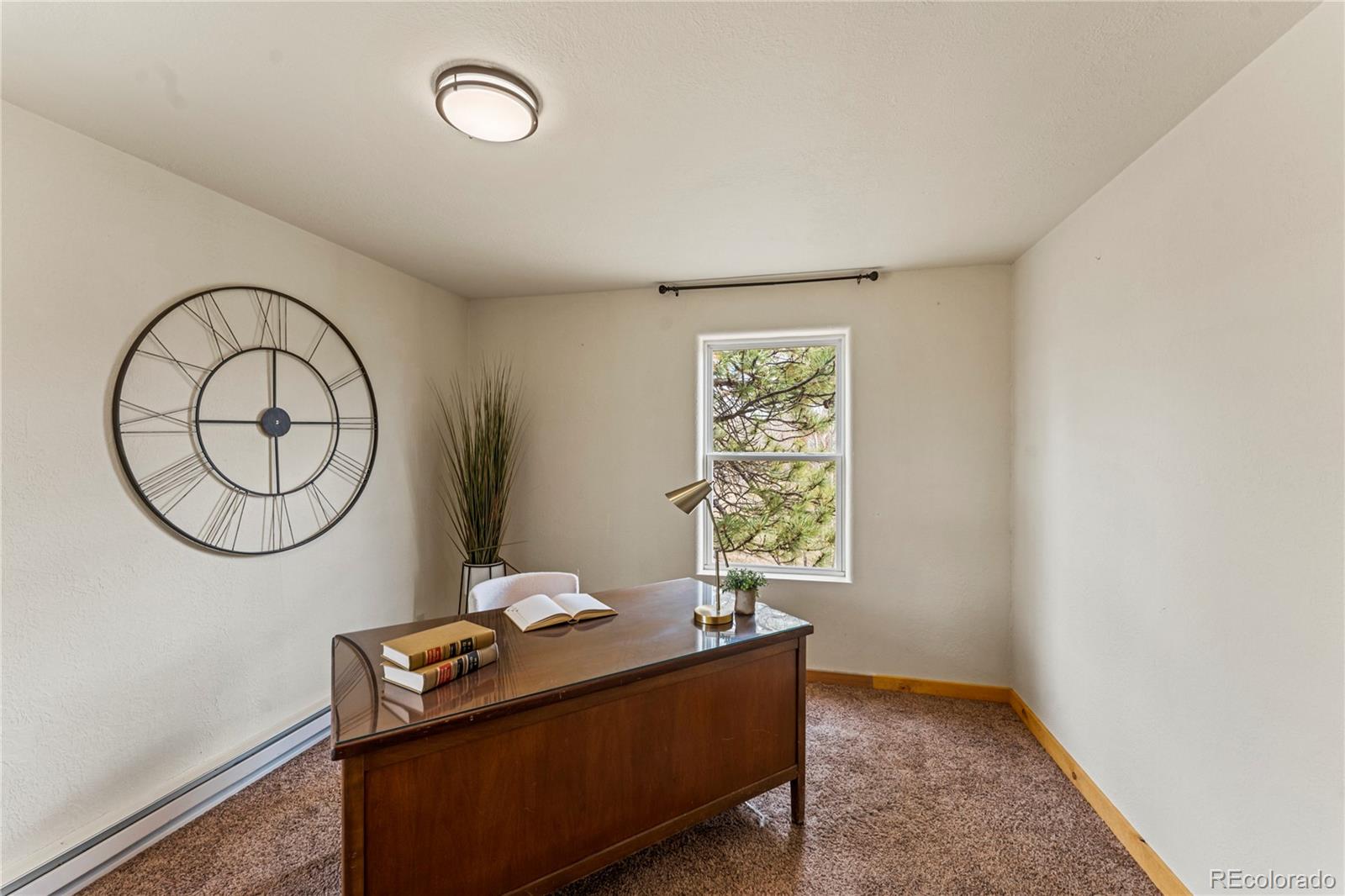 MLS Image #19 for 3543  blue mesa drive,divide, Colorado