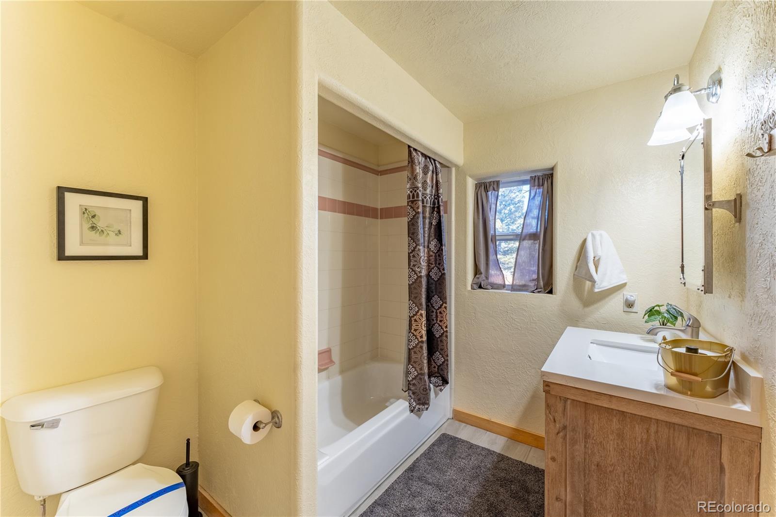 MLS Image #21 for 3543  blue mesa drive,divide, Colorado