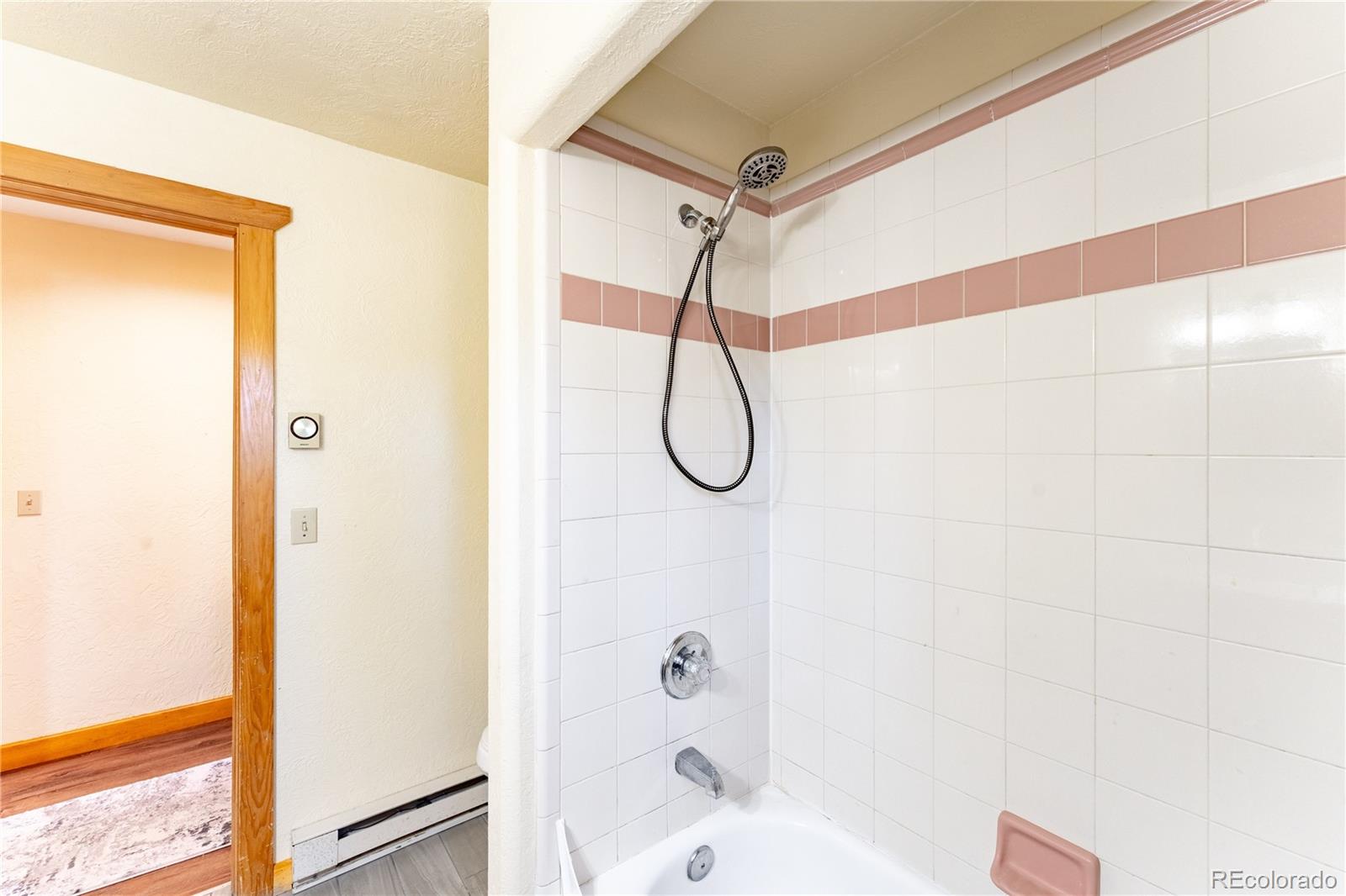 MLS Image #23 for 3543  blue mesa drive,divide, Colorado