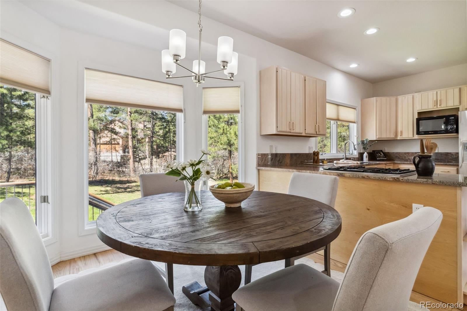 MLS Image #15 for 1653  gore drive,larkspur, Colorado