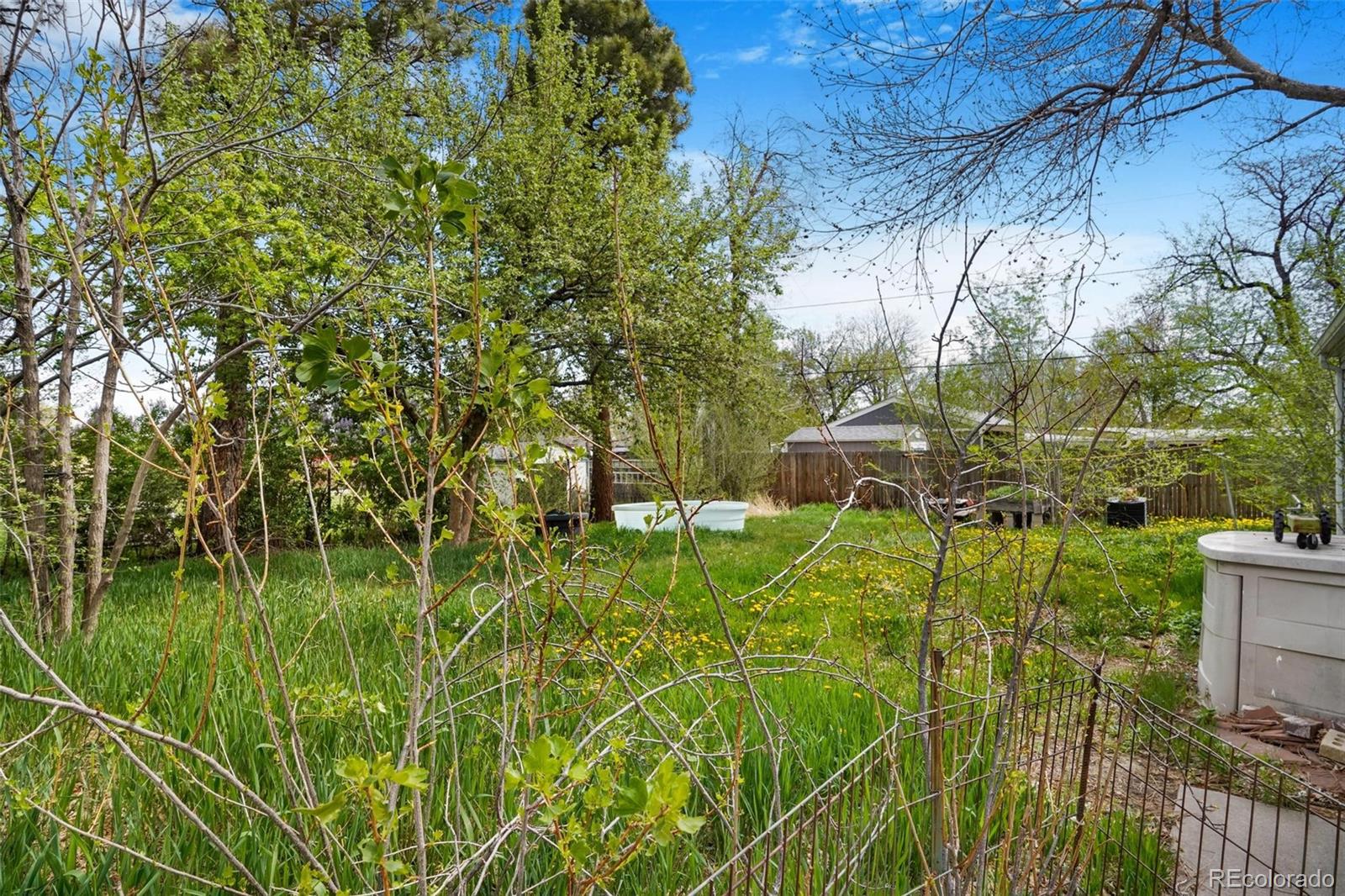 MLS Image #3 for 4730  pierce street,wheat ridge, Colorado