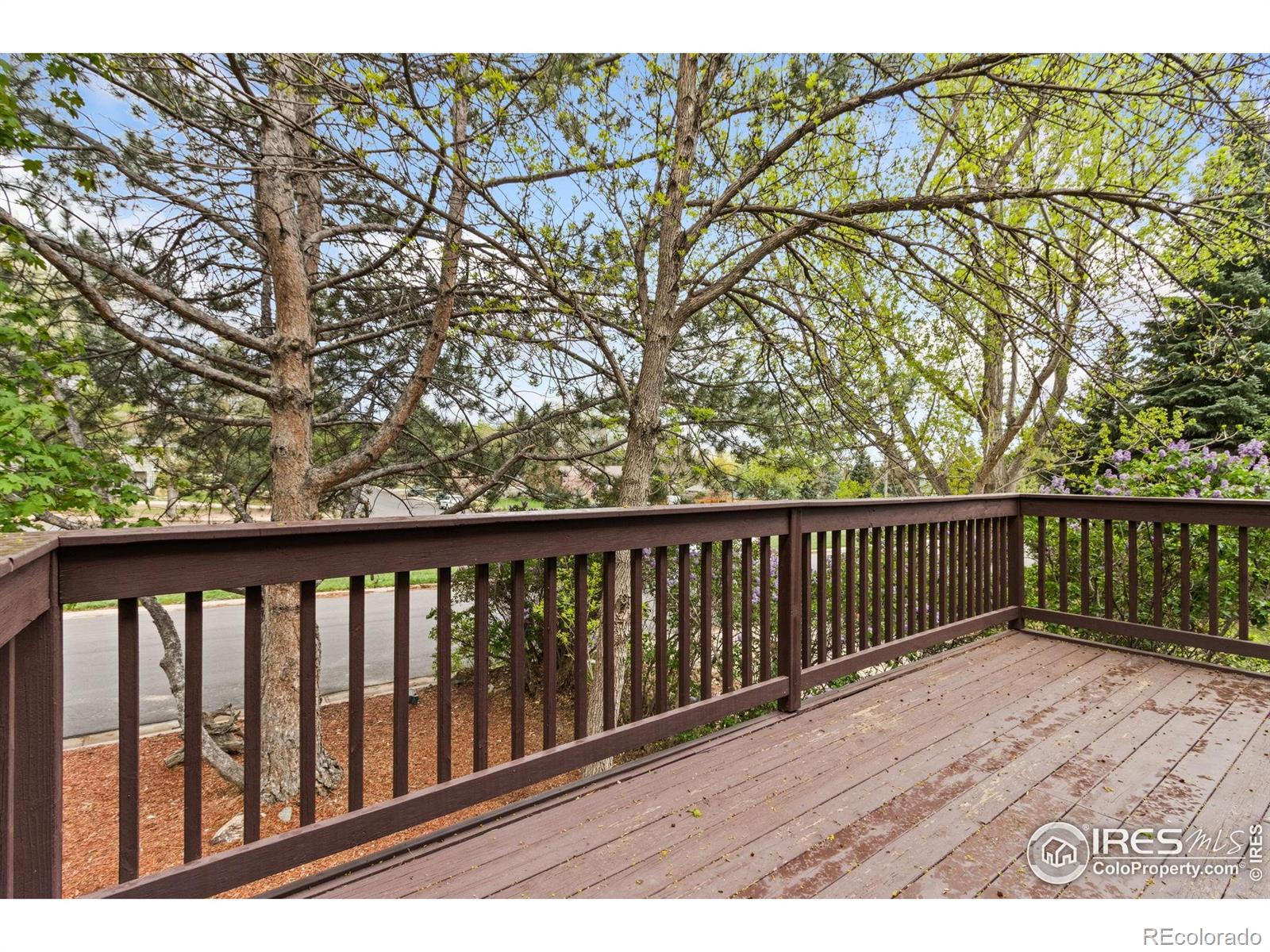 MLS Image #13 for 2617  treemont drive,fort collins, Colorado