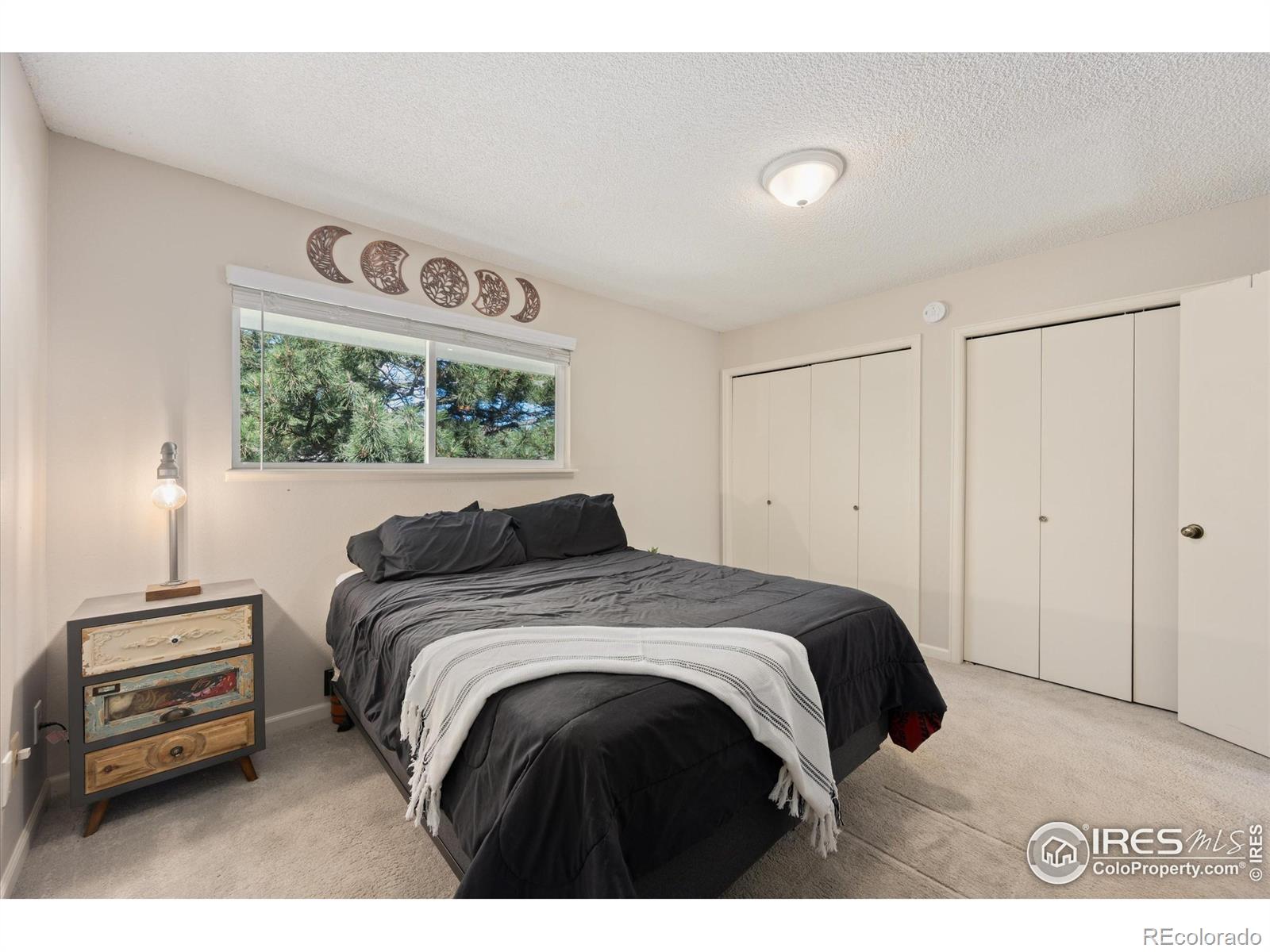 MLS Image #12 for 3050 w stuart street,fort collins, Colorado
