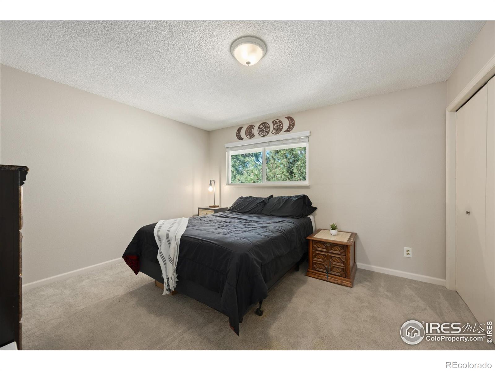 MLS Image #13 for 3050 w stuart street,fort collins, Colorado