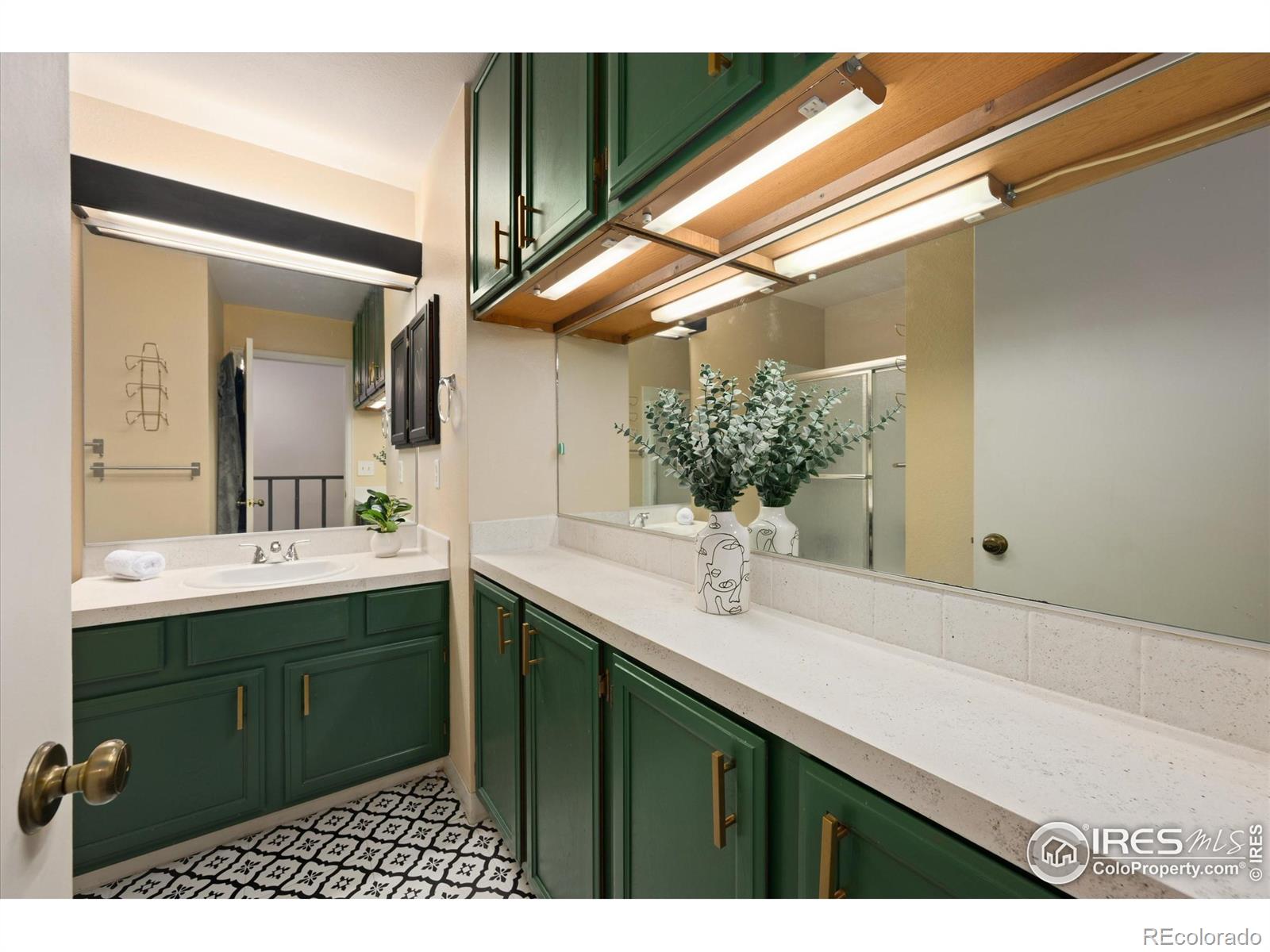 MLS Image #14 for 3050 w stuart street,fort collins, Colorado