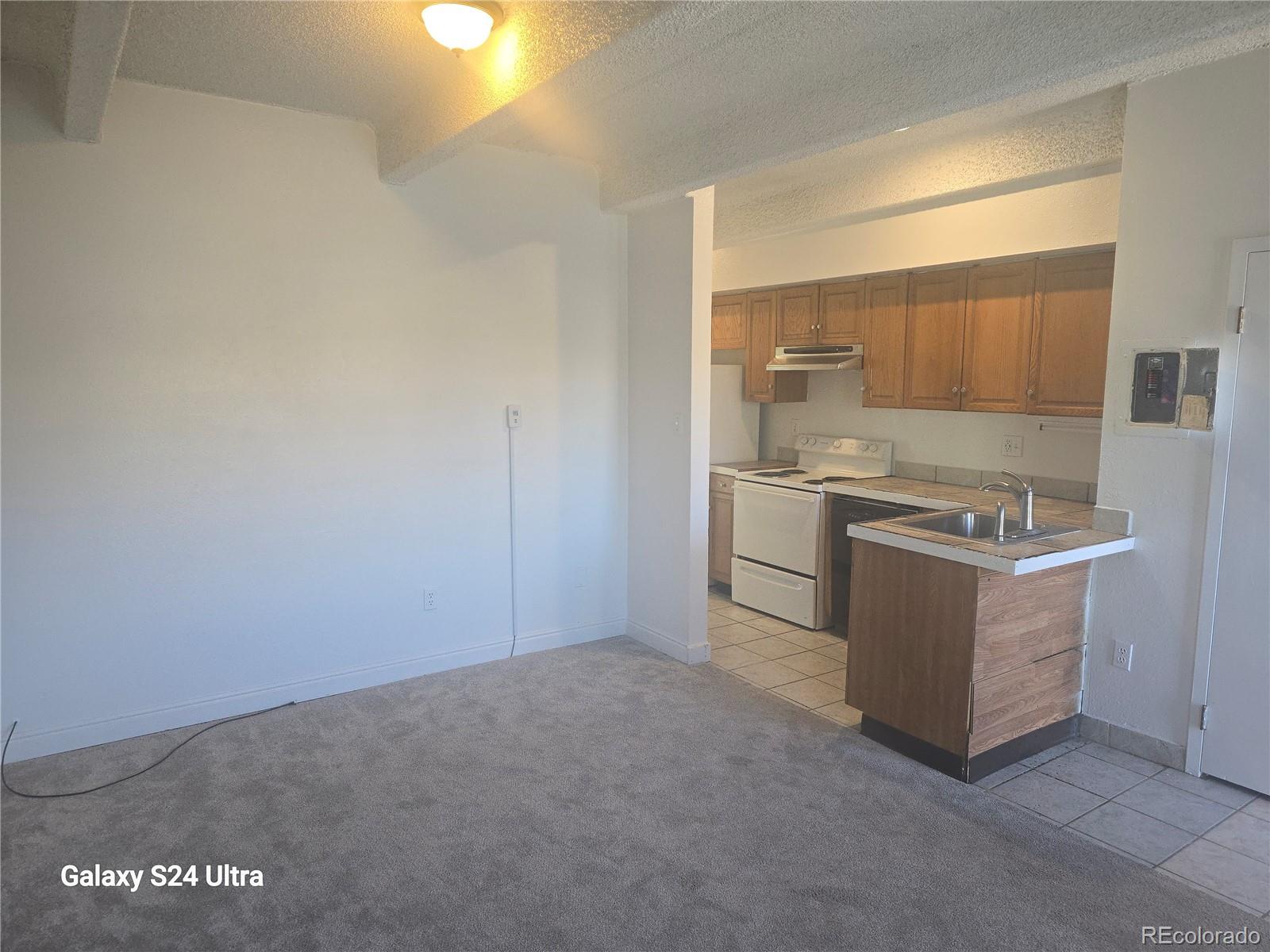 MLS Image #3 for 590 n logan street,denver, Colorado