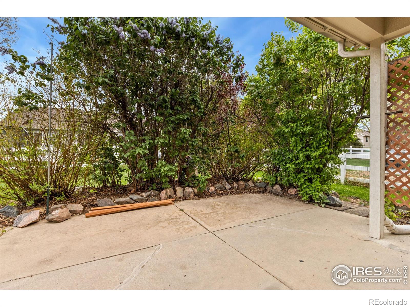 MLS Image #14 for 1382  warbler street,loveland, Colorado