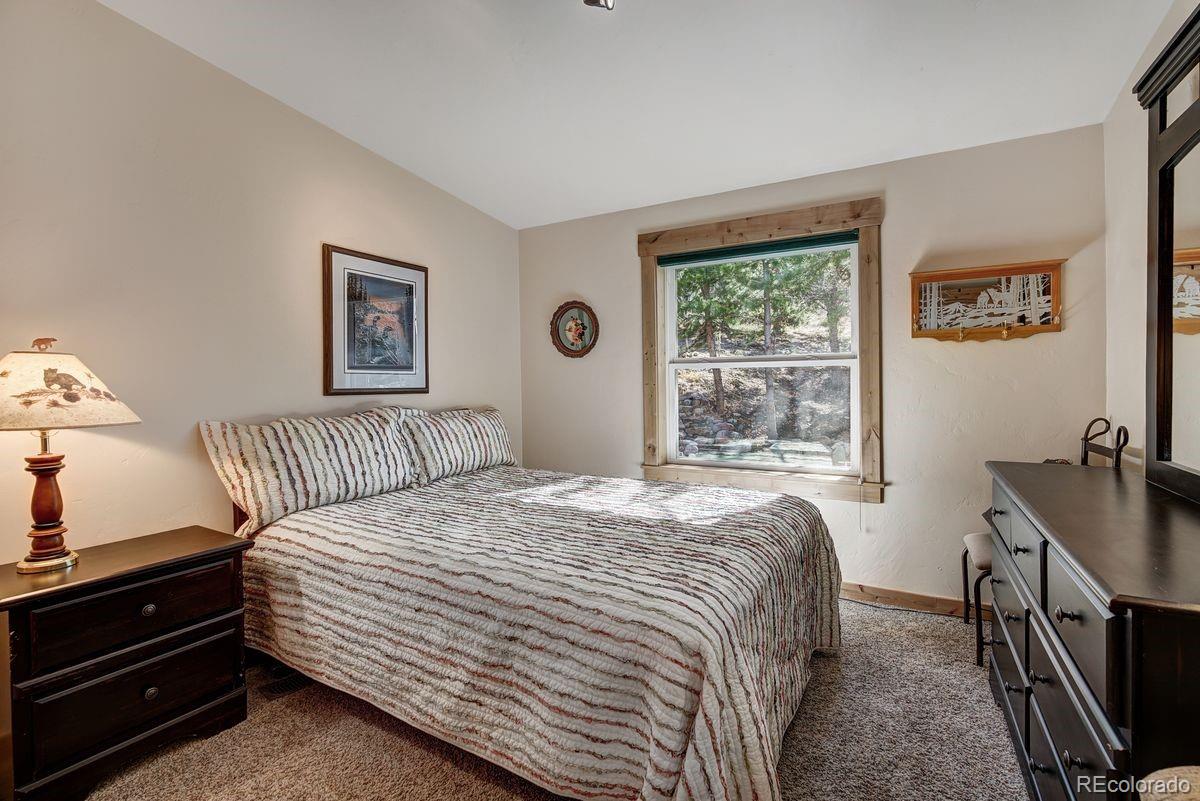 MLS Image #14 for 379  hummingbird circle,silverthorne, Colorado