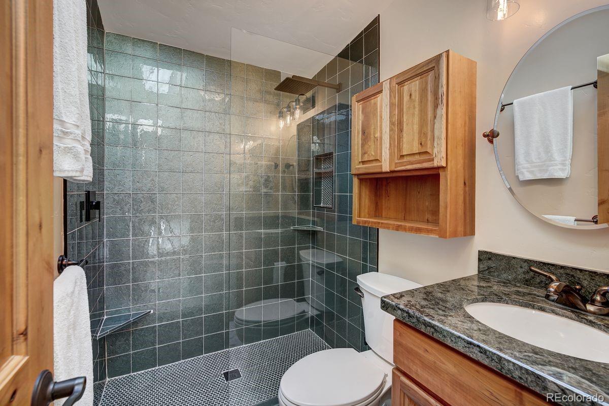 MLS Image #15 for 379  hummingbird circle,silverthorne, Colorado
