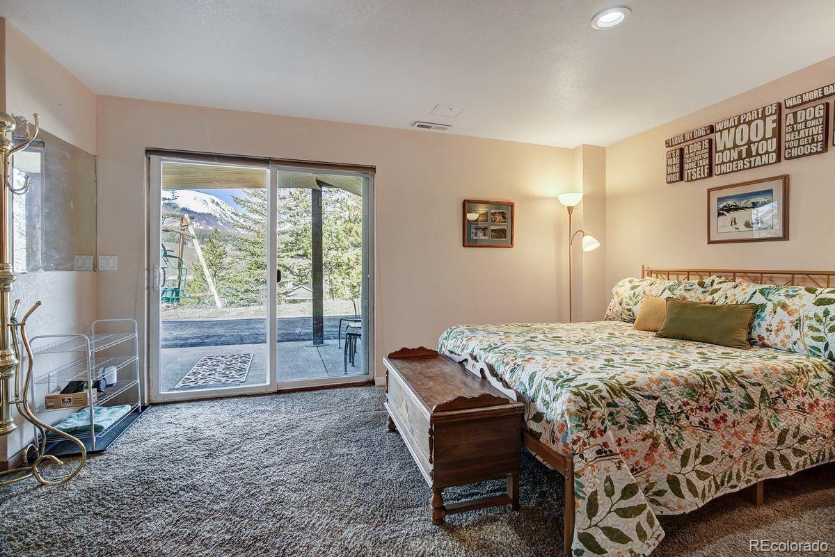 MLS Image #21 for 379  hummingbird circle,silverthorne, Colorado