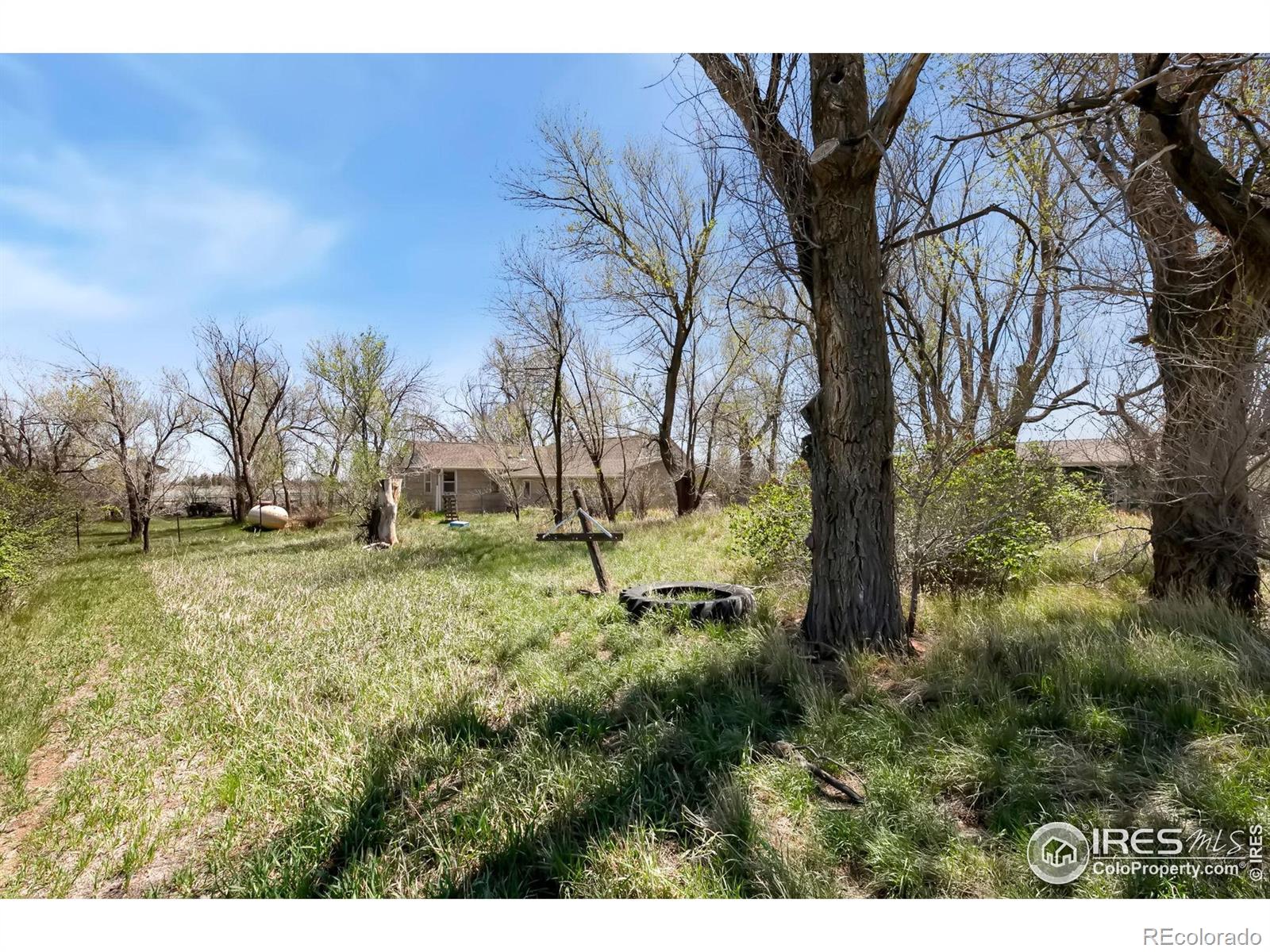 MLS Image #5 for 914 w county road 74 ,wellington, Colorado