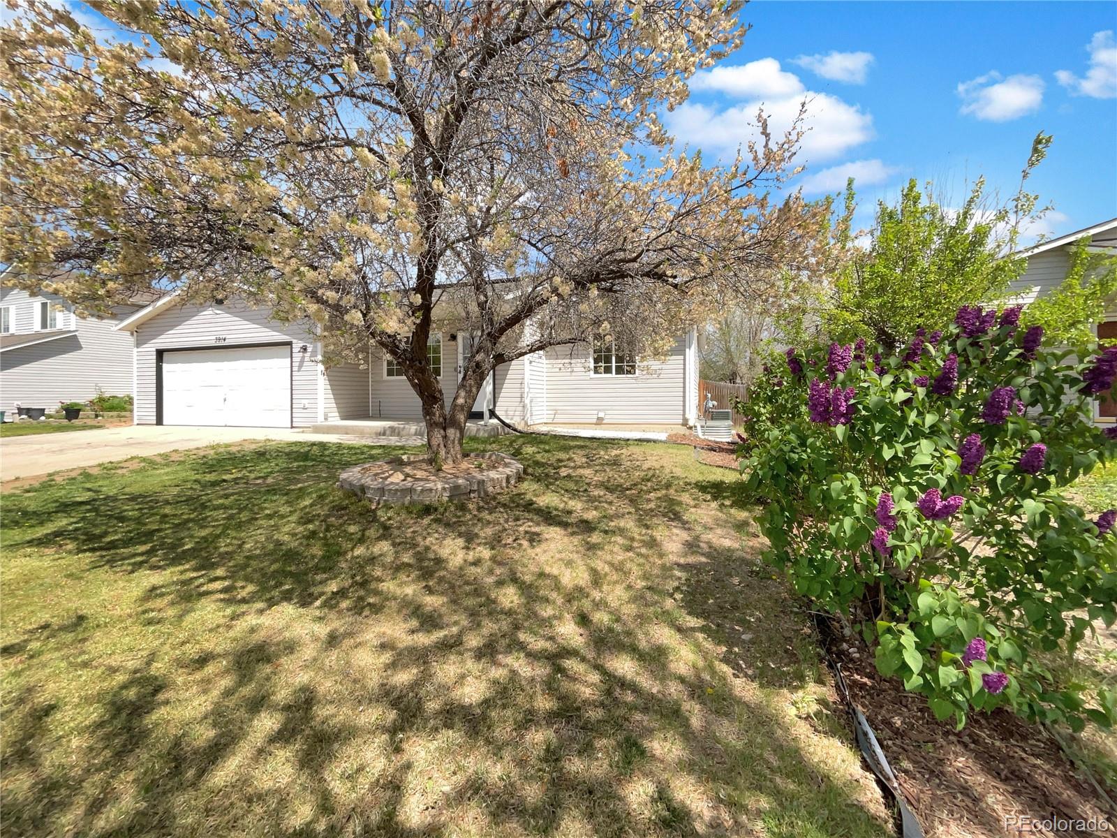 MLS Image #8 for 3914  partridge avenue,evans, Colorado