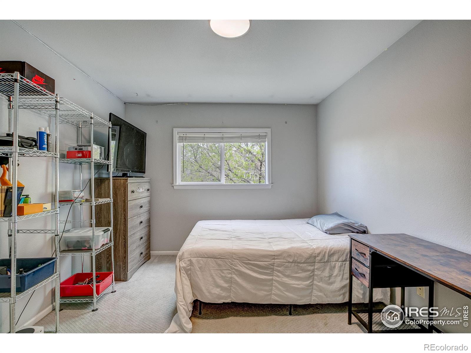 MLS Image #21 for 2875  dafina drive,loveland, Colorado