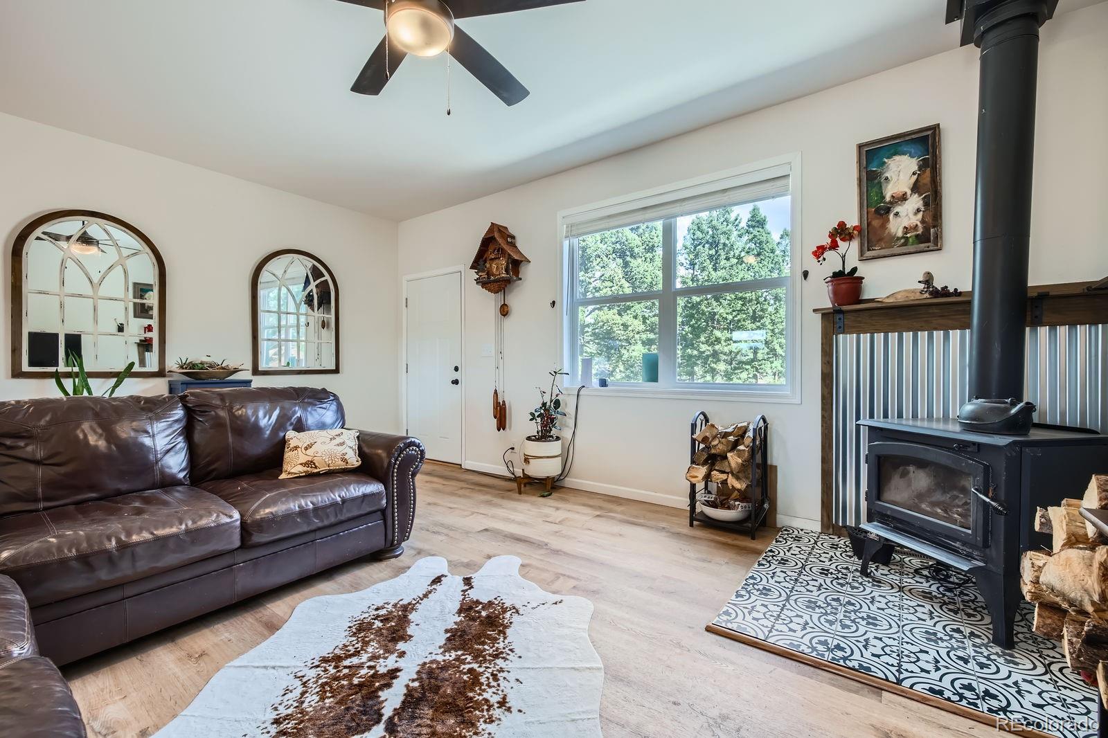 MLS Image #4 for 180  garnet way,florissant, Colorado