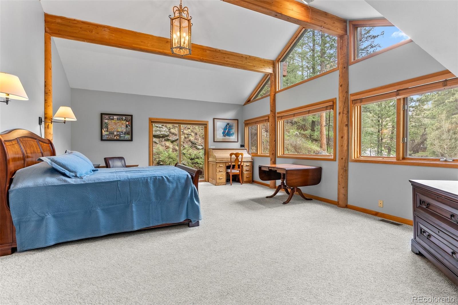 MLS Image #21 for 30264  upper bear creek road,evergreen, Colorado