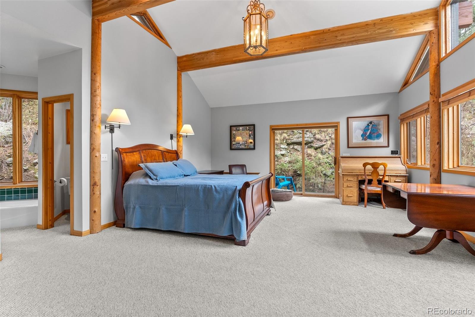 MLS Image #22 for 30264  upper bear creek road,evergreen, Colorado