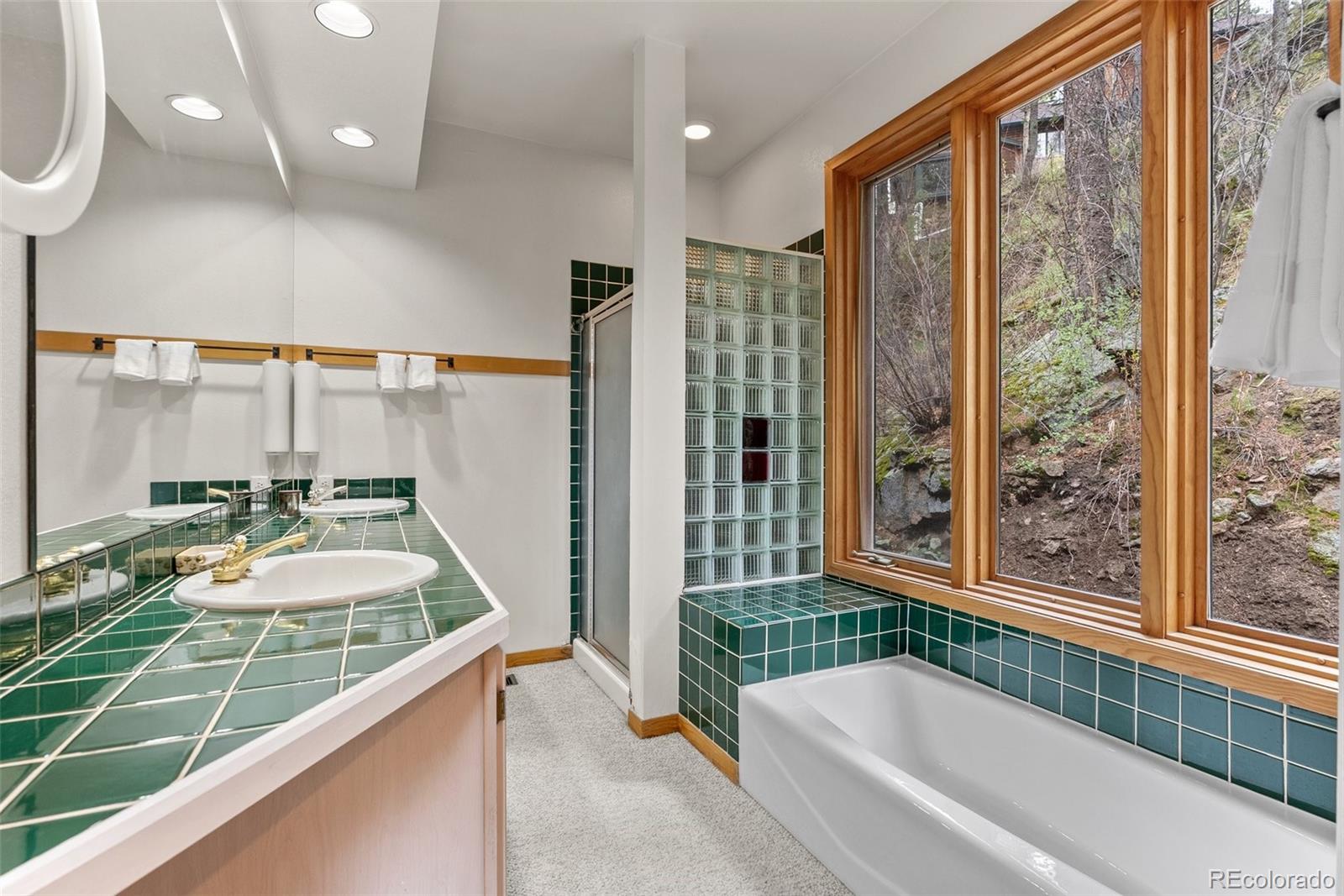 MLS Image #23 for 30264  upper bear creek road,evergreen, Colorado