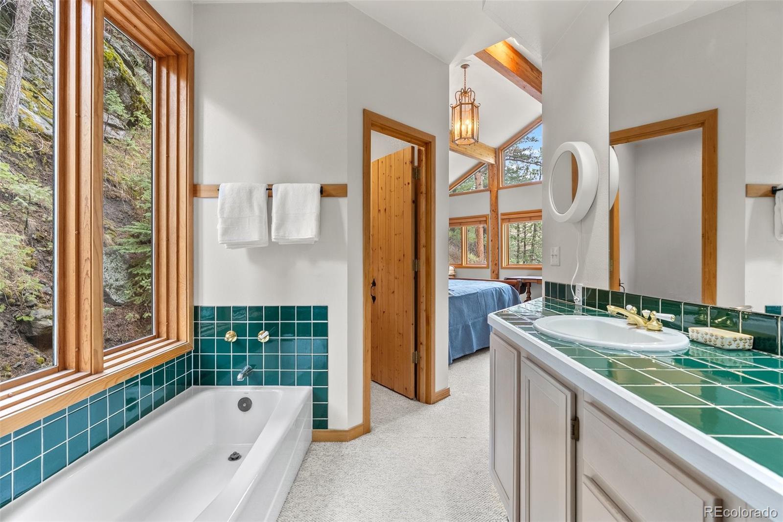 MLS Image #24 for 30264  upper bear creek road,evergreen, Colorado