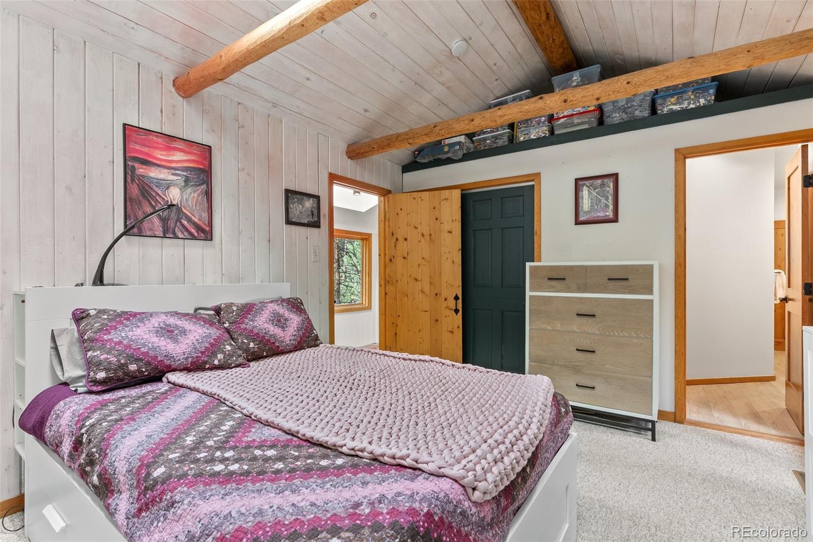 MLS Image #28 for 30264  upper bear creek road,evergreen, Colorado