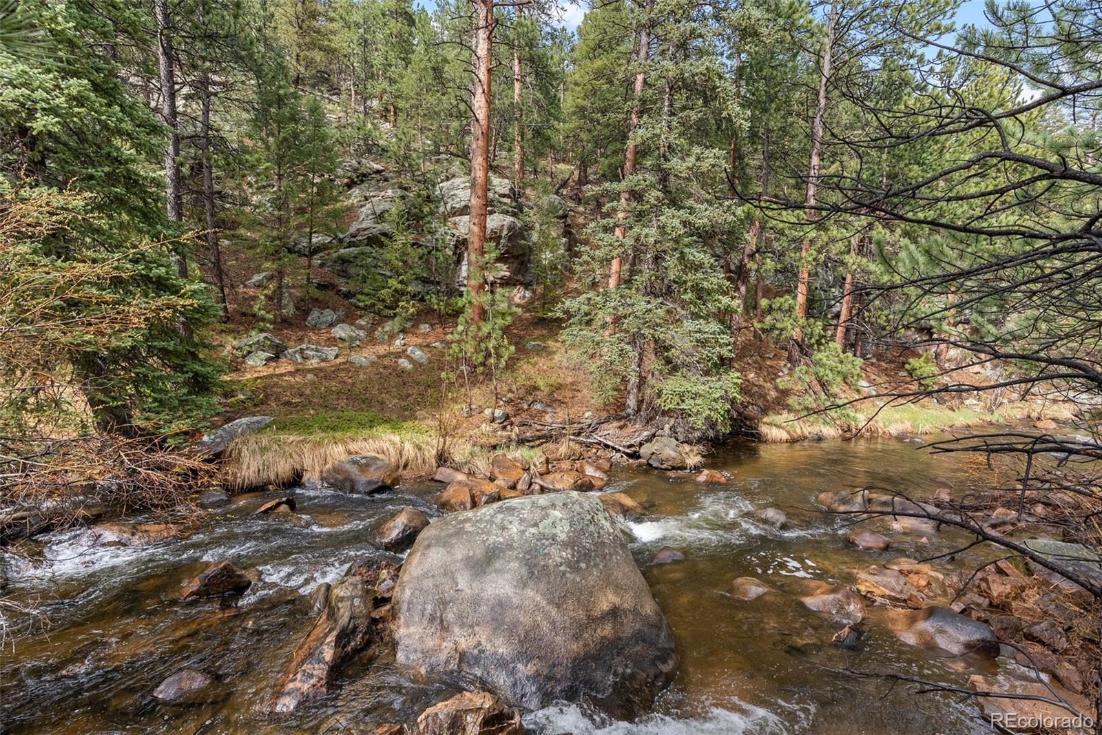 MLS Image #4 for 30264  upper bear creek road,evergreen, Colorado