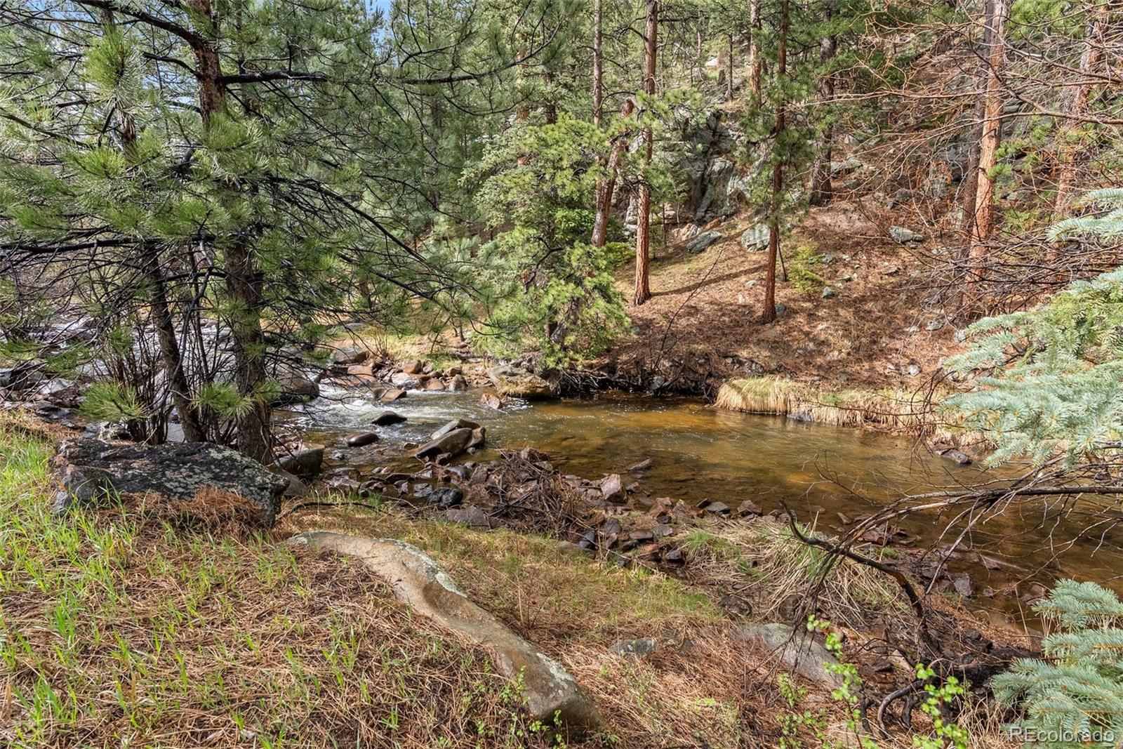 MLS Image #48 for 30264  upper bear creek road,evergreen, Colorado
