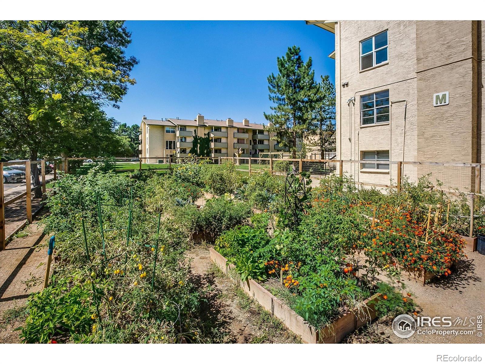 MLS Image #23 for 3035  oneal parkway,boulder, Colorado