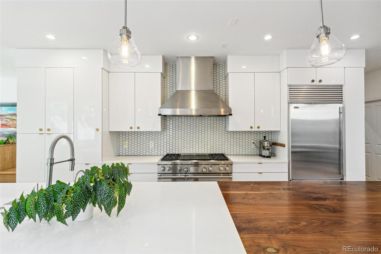 MLS Image #10 for 421  saint paul street,denver, Colorado