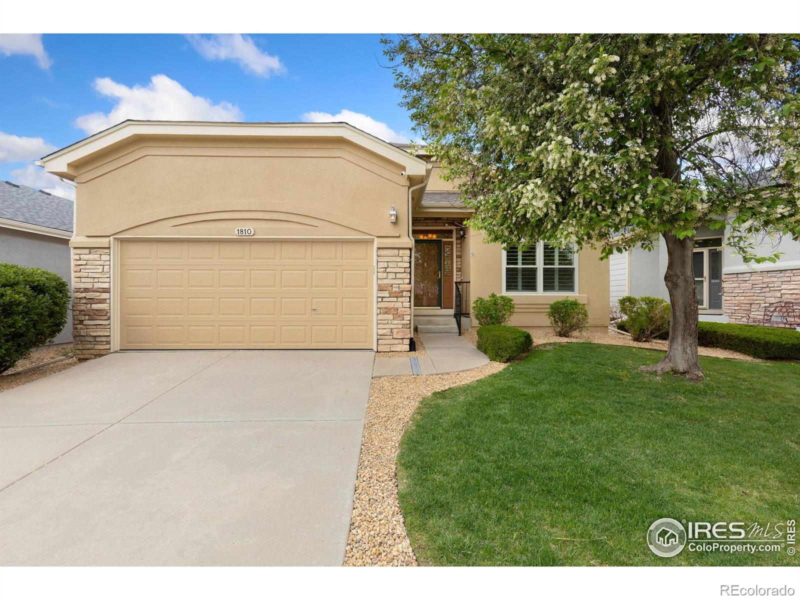 MLS Image #0 for 1810  signature court,longmont, Colorado