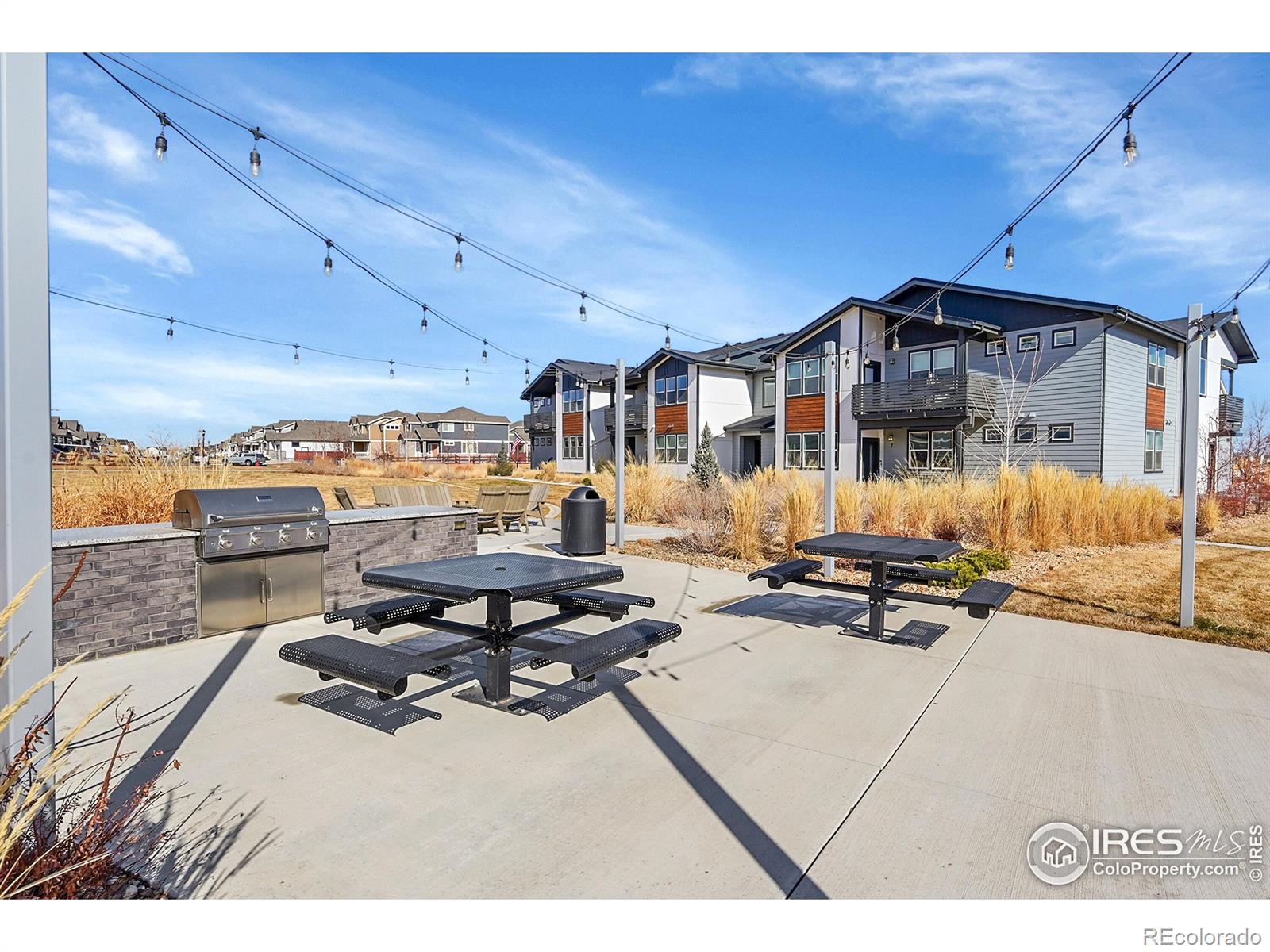 MLS Image #22 for 2086  autumn moon drive,windsor, Colorado