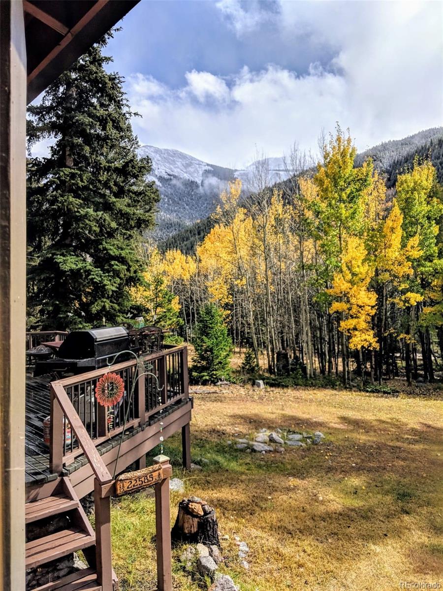 MLS Image #11 for 22585  county road 292 ,nathrop, Colorado